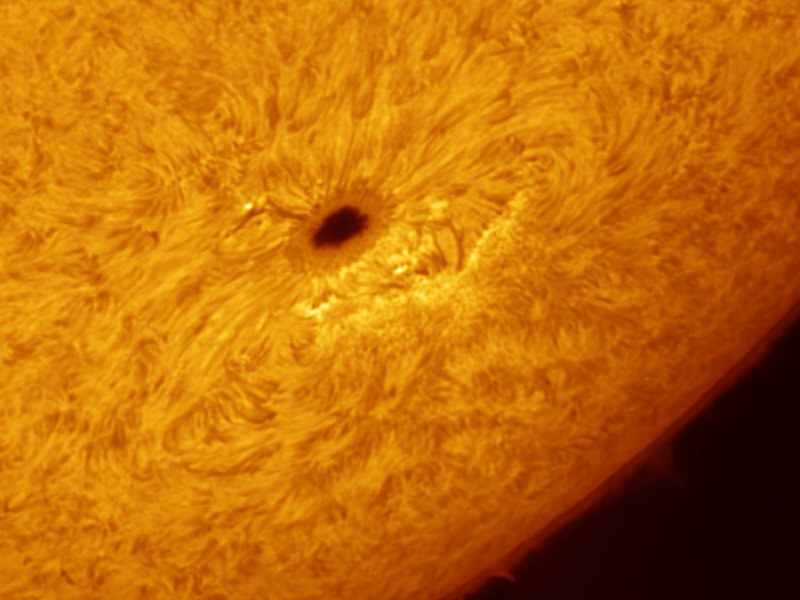 UNA SPETTACOLARE MACCHIA SOLARE